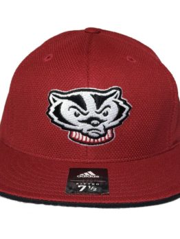 Badgers cap