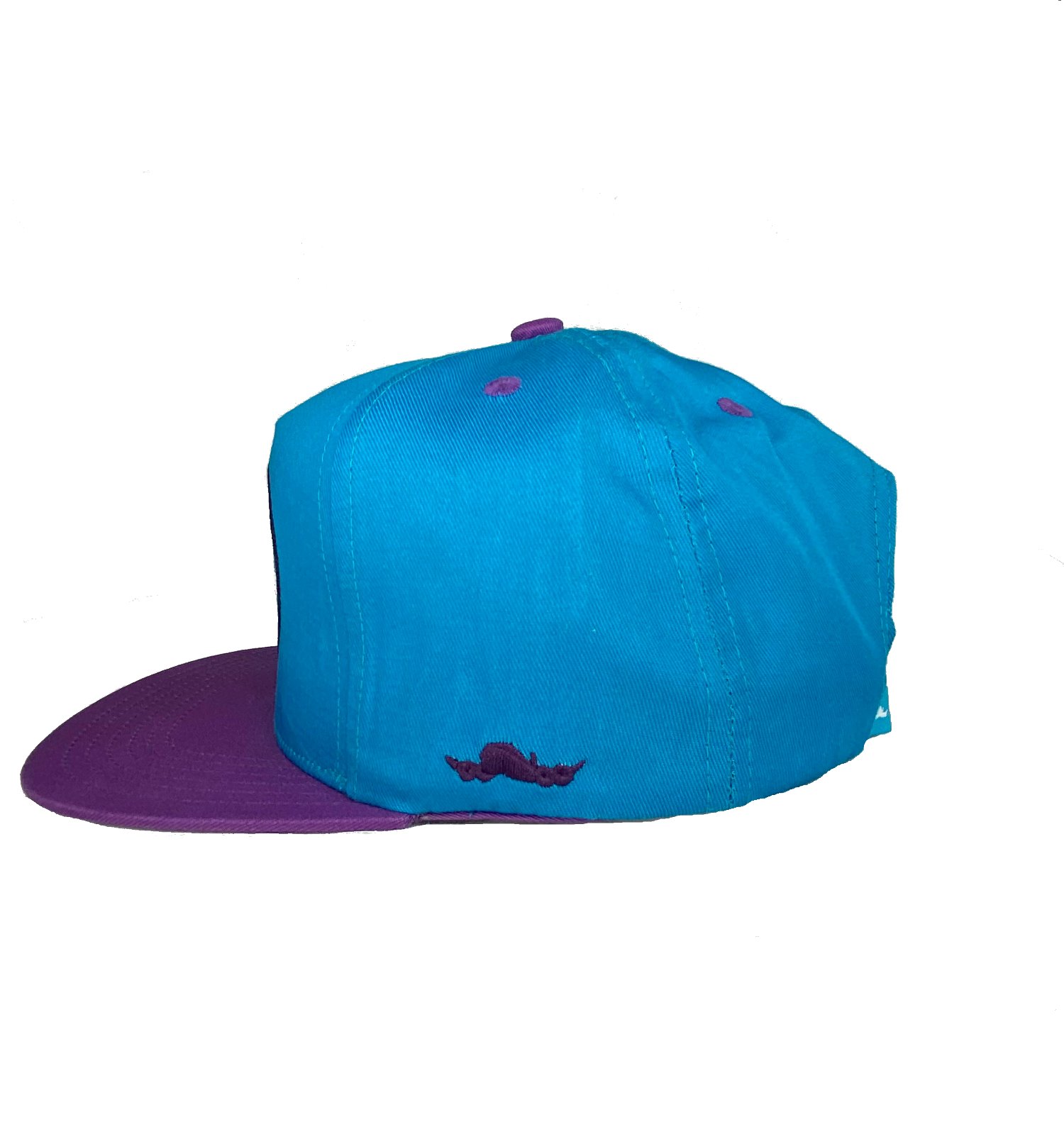 Fly Society Snapback Cap / Color: Turquoise/Purple - SCOTTEEZ URBAN