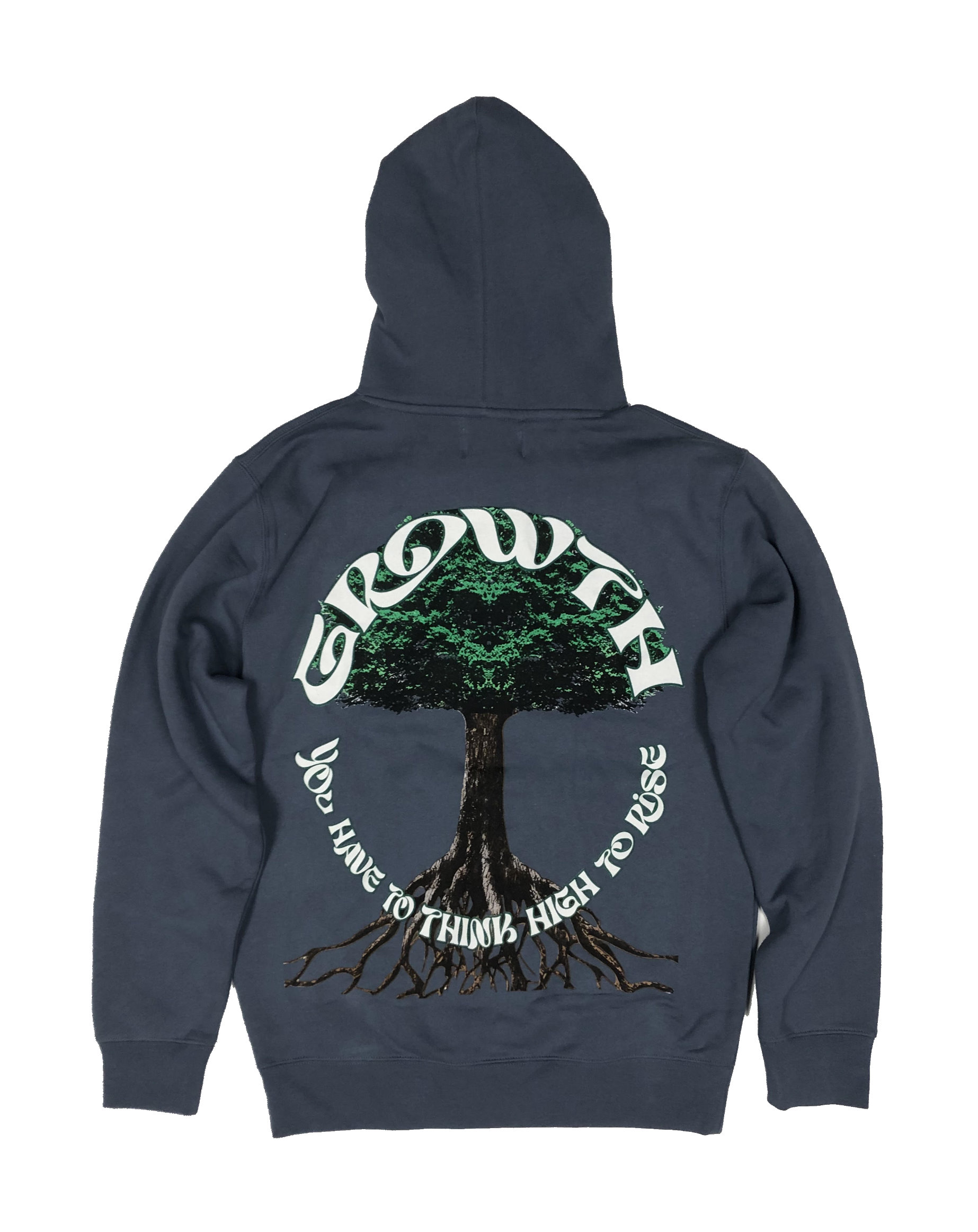 Growth Oversized Hoodie (D005-300-GROWTH) Blue